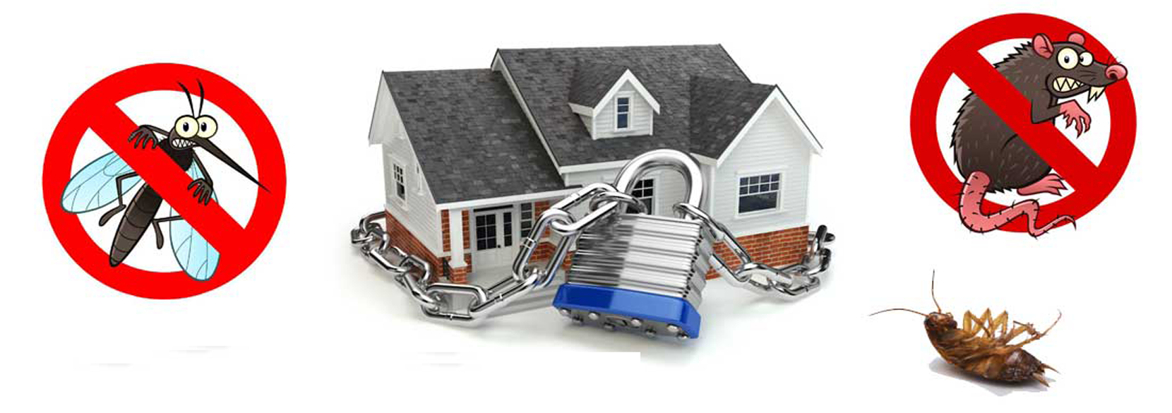 Pest Control Book Pest Control Services in Pune At Best Price Urban